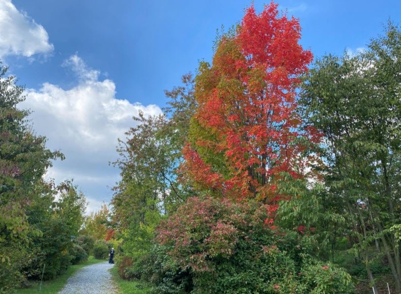 Forstbotanischer Garten Tharandt, Germany